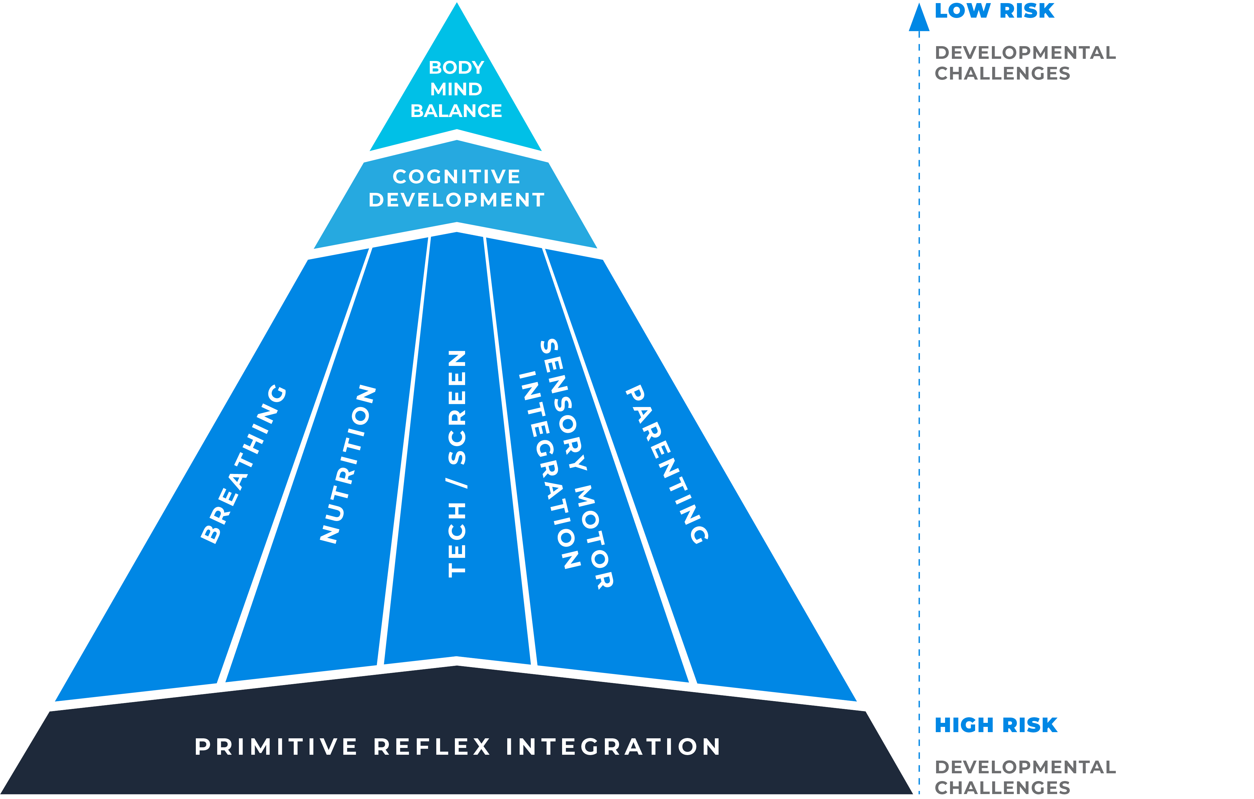 Development Pyramid showing Primitive Reflex Integration as the foundation for higher learning, with layers for breathing, nutrition, sensory motor integration, cognitive development, and body-mind balance